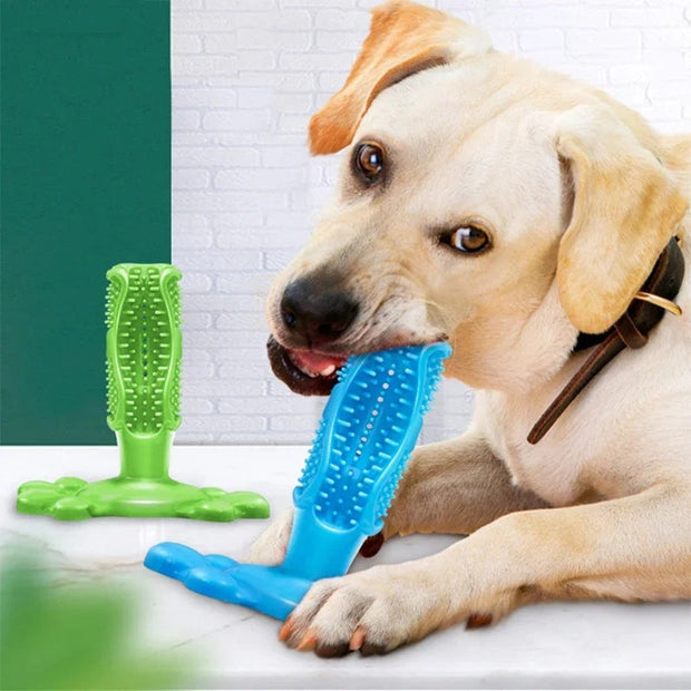 Dogs Toothbrush Squeak Toys