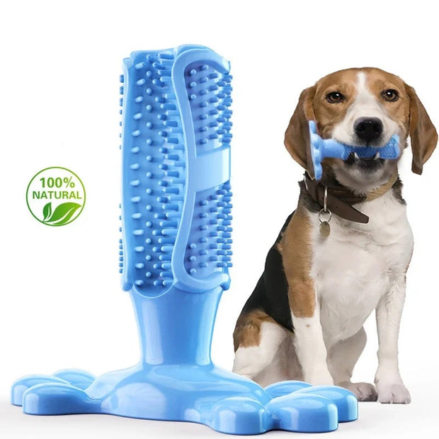 Dogs Toothbrush Squeak Toys