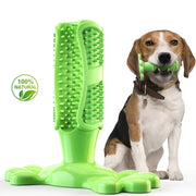 Dogs Toothbrush Squeak Toys