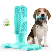 Dogs Toothbrush Squeak Toys